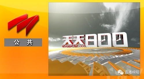 喜迎十九大，主播在行動——廣播電視節目制作經營的創新與實踐